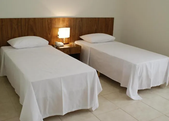 Monte Castro Executive Hotel Araguari