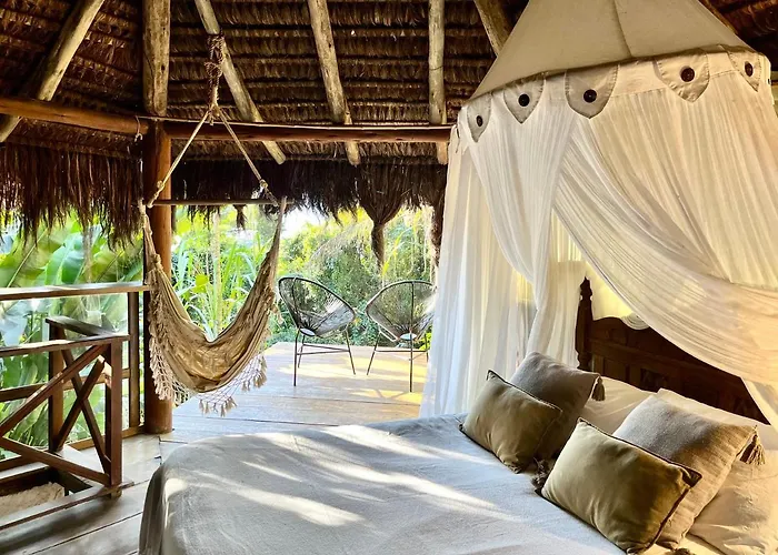 Jungle Lodge