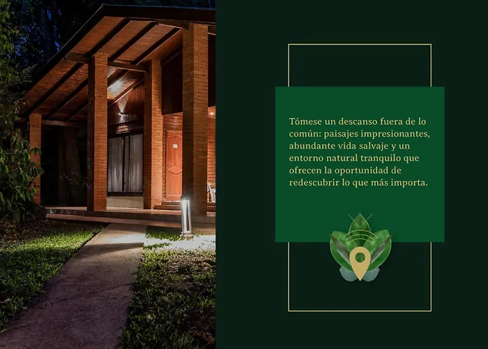 Yvy Hotel De Selva