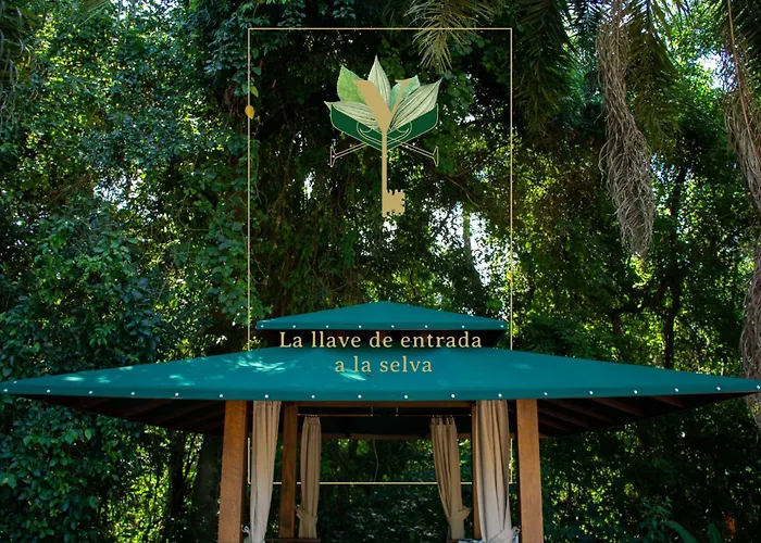 Yvy Hotel De Selva