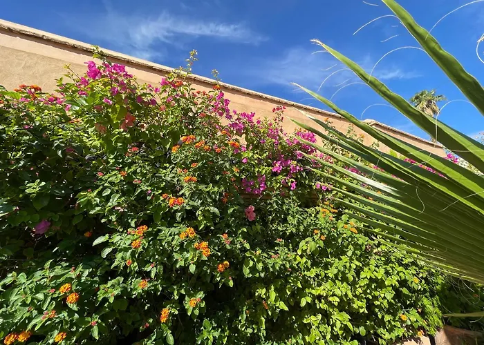 Riad Zouhour Marrakesh