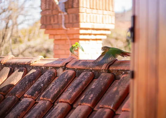 Pousada Suiça Mineira Centro Monte Verde 