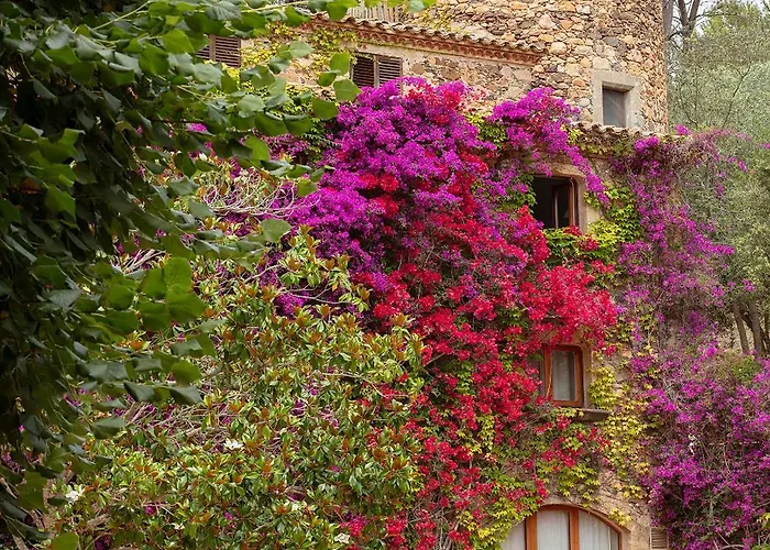 Hotel Mas Pastora - Adults Only Llafranc