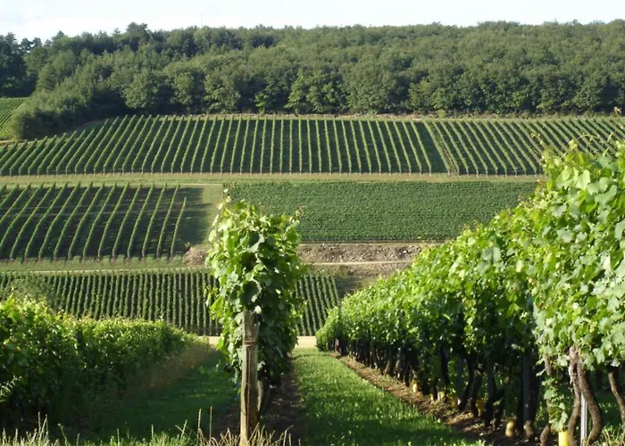Douce Nuits Hotel