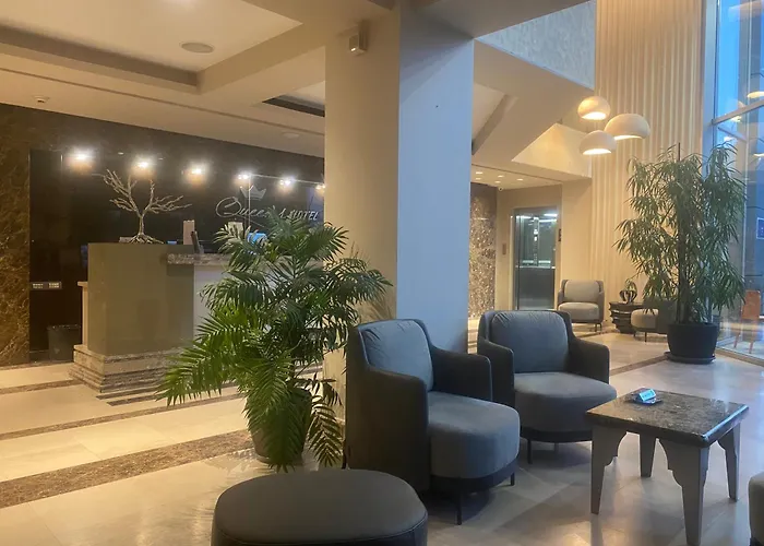 Queen's Hotel - Zebra Centre Skopje