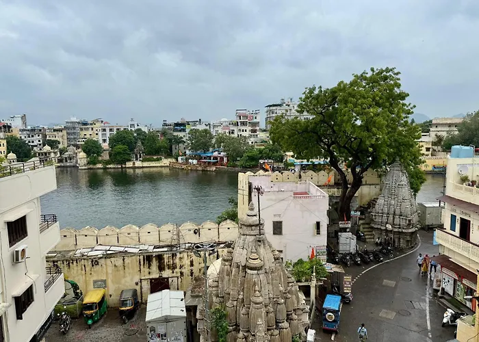 The Luxury Tiger At Lake Pichola