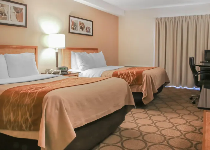 Comfort Inn Prince Albert
