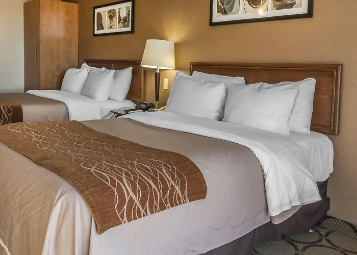 Comfort Inn Prince Albert