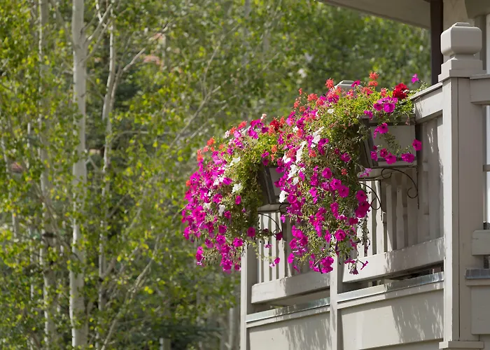 Hotel Sonnenalp Vail