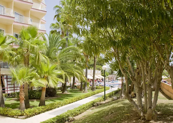 Hotel Globales Palmanova