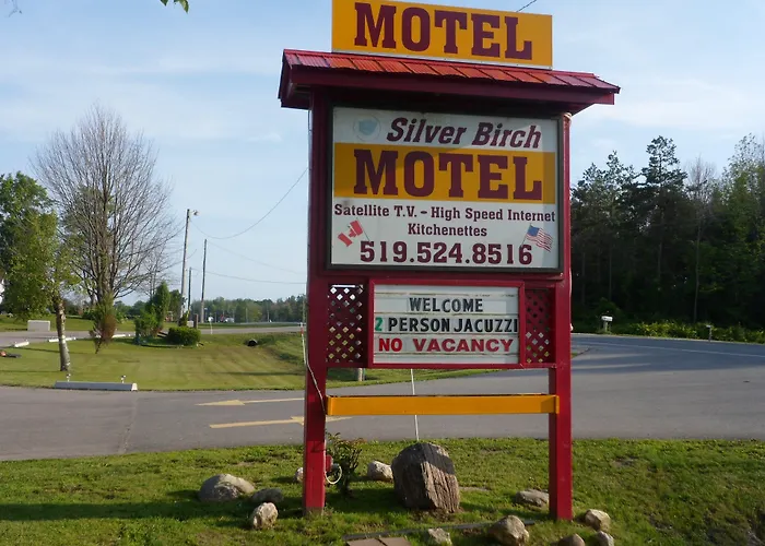 The Silver Birch Motel