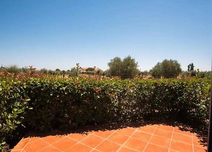 Vila Gale Alentejo Vineyard - Clube De Campo Albernoa