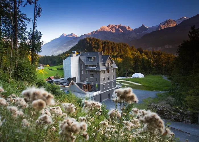 Wetterhorn Apartments Hasliberg