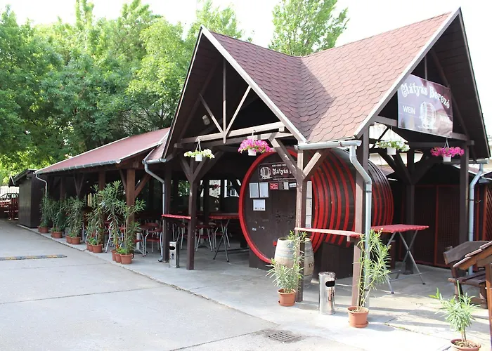 Matyas Kiraly Gyogy- Es Wellness Hotel Hajdúszoboszló